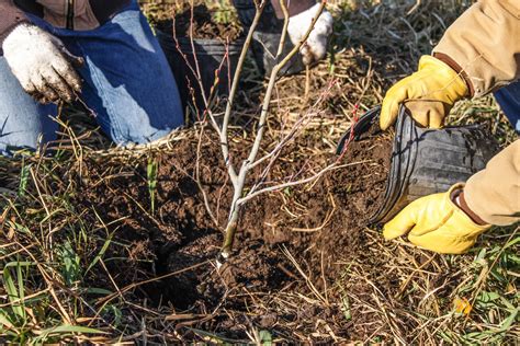 EXCITING NEWS: Great River Greening Awarded $10 Million from USDA ...