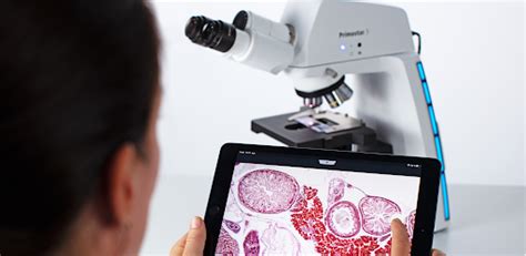 Lab Scope 的图像结果