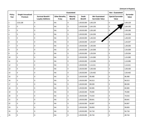 Single Premium Term Insurance: Pros, Cons, & Everything Else