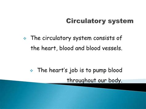 Image result for Circulatory System Tutorial