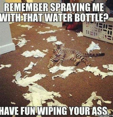 Image result for Go Have Fun Meme