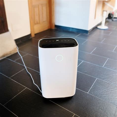 Dehumidifier And Asthma