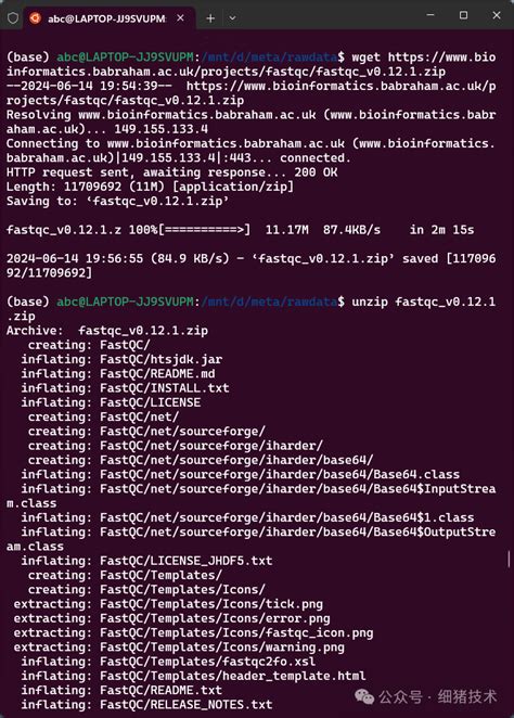 FastQC Tutorial Windows 的图像结果