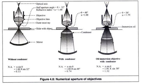The angle 9 subtended by theoptical axis (the line joining the centers ...