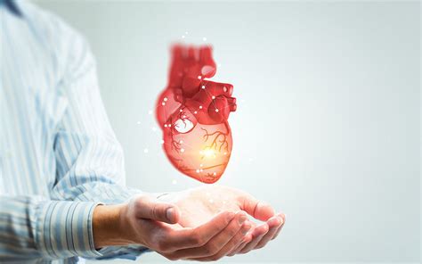 Image result for Video Watchman Device.com