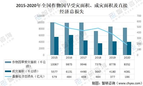 信阳毛尖的价格为什么这么高？_茶叶