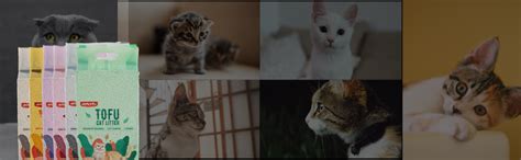 Buy Emily Pets Tofu Flushable Clumping Cat Litter, 6 L Online at Low ...