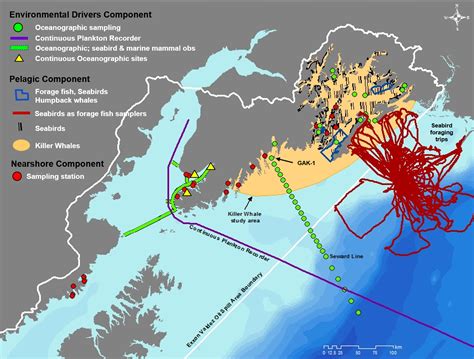 Pelagic Ecosystems | Gulf Watch Alaska