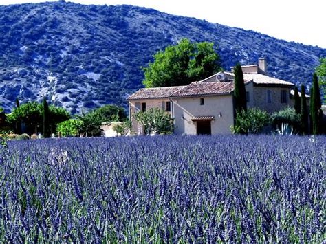 MAS DE LONGUEFEUILLE (Malaucene) - Guesthouse Reviews, Photos, Rate ...