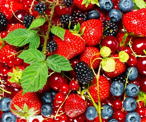 Bilder von Kirsche Erdbeeren Heidelbeeren Lebensmittel hautnah