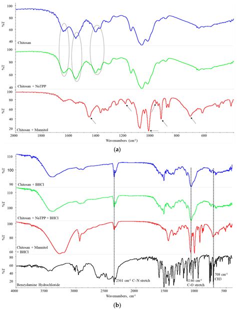 Spray-Dried Chitosan Hydrogel Particles as a Potential Delivery System ...