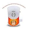 KBV Mantra Chanting Device Shri Swami Samartha Mantra Chanting Box ...