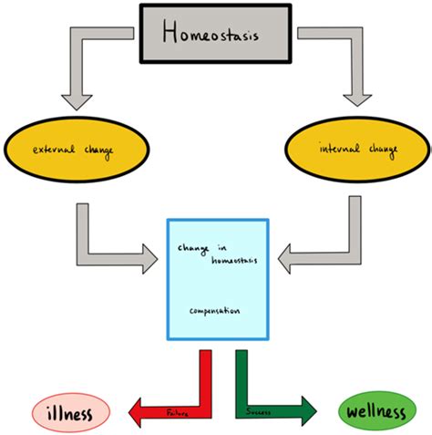 Functions of organisms — lesson. Science State Board, Class 8.
