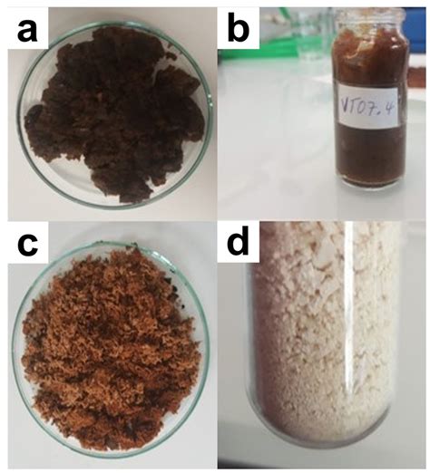 Characterization of Alginates of Sargassum from the Archipelago of ...