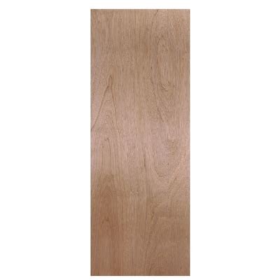 Lauan Slab Doors at Lowes.com
