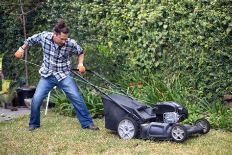 80+ Mexican Lawn Mower Stock Photos, Pictures & Royalty-Free Images ...