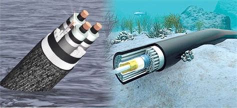 Image result for 1-Wire O2 Sensor Test