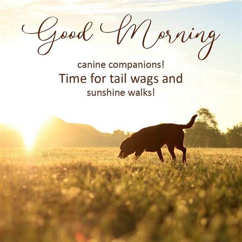 Image result for Good Morning Cockapoo