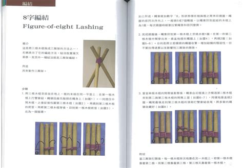 三脚架八字编结法 Figure 8 Lashing - 小能日记 - 博客园