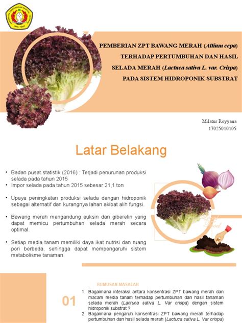 PowerPoint Local Food Source 的图像结果