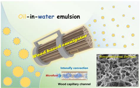 Oriented Interpenetrating Capillary Network with Surface Engineering by ...