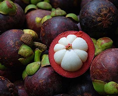 5 Rare And Exotic Fruits We Can Find In India | 5 rare and exotic ...