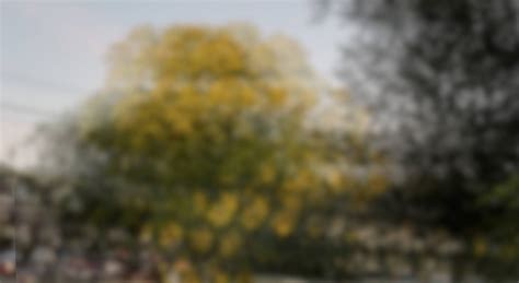 What Does A Blind Person Eyes Look Like Feature: Giving Blind People