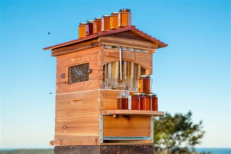 Image result for Flow Hive Problems