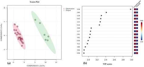 Brown Algae from San Andres Island, Southwest Caribbean: A Nuclear ...