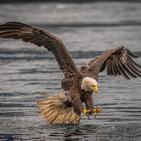 NANOOK LODGE (Sonora Island) - Lodge Reviews & Photos - Tripadvisor