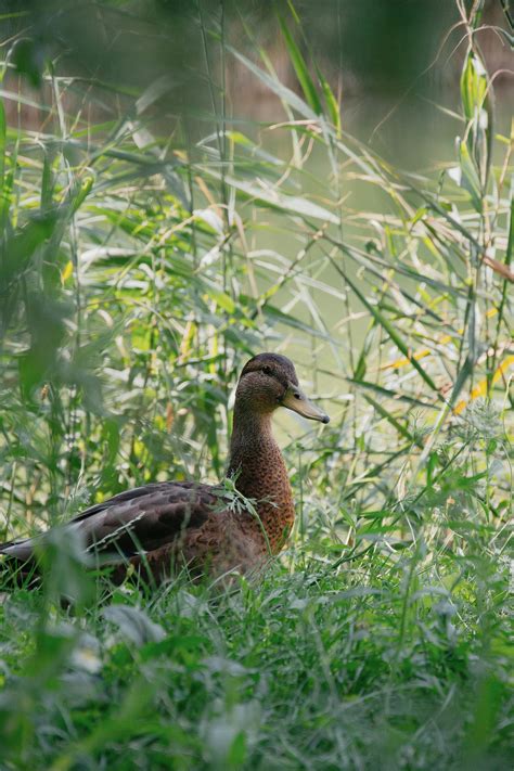 Education 4K Images 的图像结果