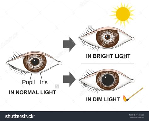 Image result for Modular 29 Cipher Decoder
