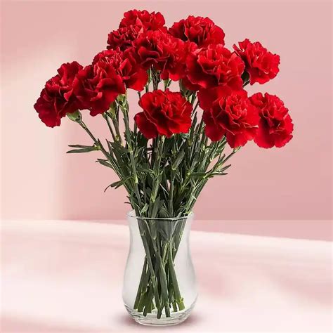 Stunning Red Carnations Gift in Vase
