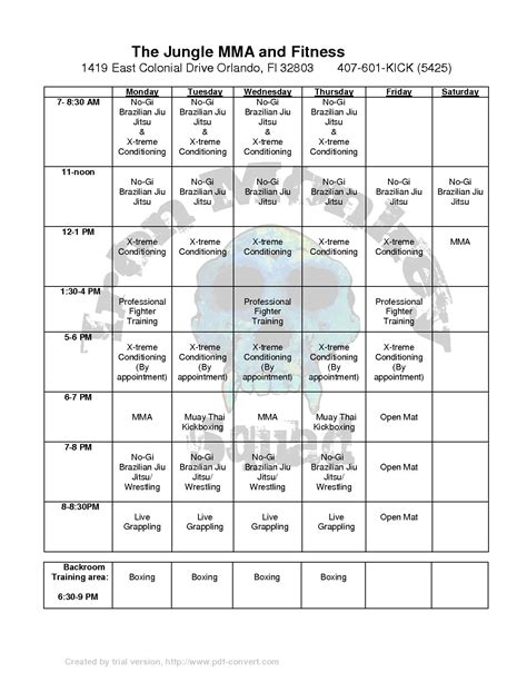 The Jungle MMA & Fitness | www.TomLawlor.net