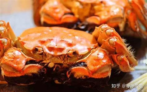 升鲜记告诉你大闸蟹为啥叫大闸蟹，而不是大螃蟹！ - 知乎