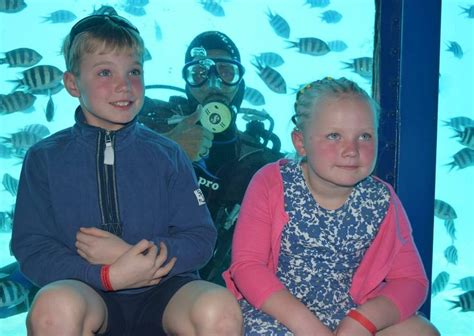 ORCA HYPERION GLASS BOTTOM BOAT – HURGHADA (2026) All You Need to Know ...