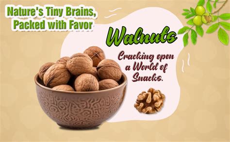 Mr.Nuttz Inshell Walnuts/Akhrot, Rich in Protein, Dietary Fibre ...