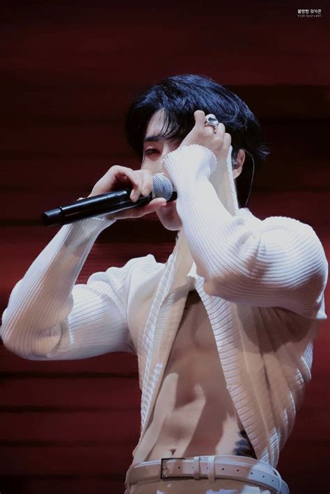 Stray Kids Han