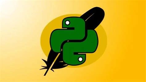 Image result for Python 7