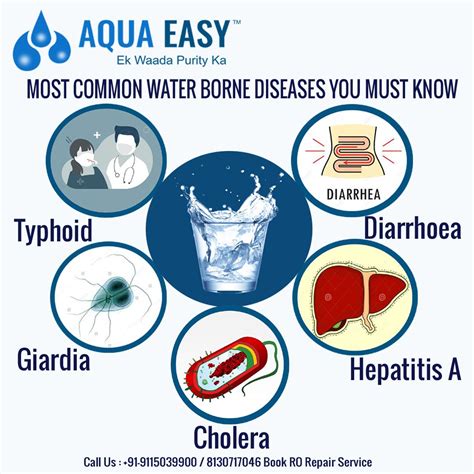 Most common Water Borne diseases you must know | Disease, Disease prevention, Ro water purifier