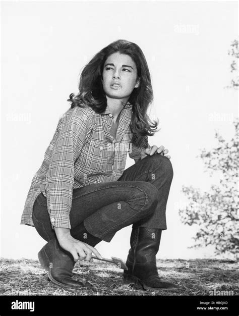 THE ALL-AMERICAN BOY, Anne Archer, 1973 Stock Photo - Alamy