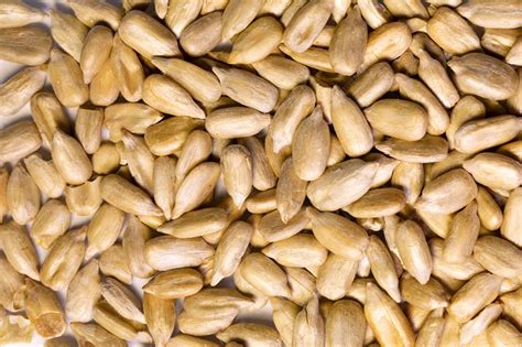 Premium Photo | Shelled sunflower seeds over background.