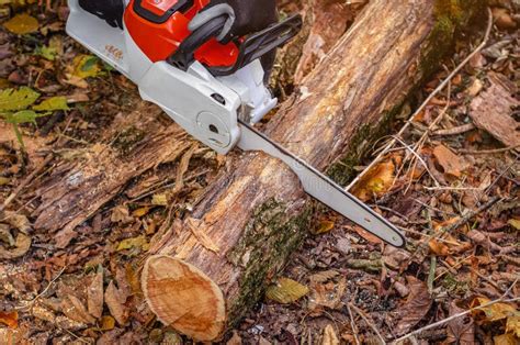 Image result for Tree Cutter