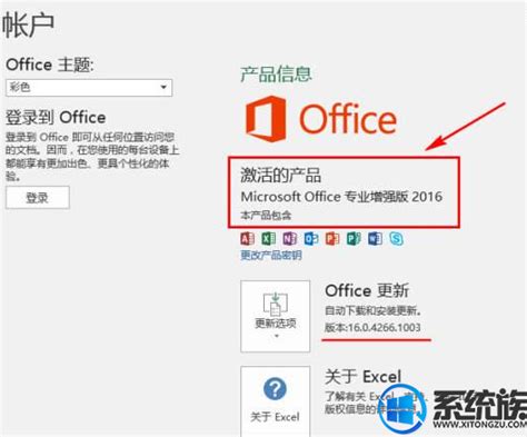 Office2019永久激活码(含激活教程)-巅峰下载