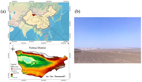 Photosynthetic and Physiological Characteristics of Three Common ...
