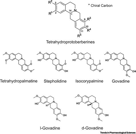 Tetrahydroprotoberberines: A Novel Source of Pharmacotherapies for ...
