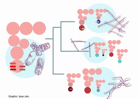 New paper: Wobble-based insights into the bacterial genetic code ...