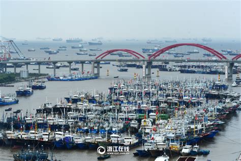 舟山渔船归港避风-影像中心-浙江在线