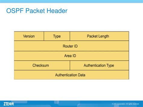 Image result for Ospf Header Format Example Step by Step