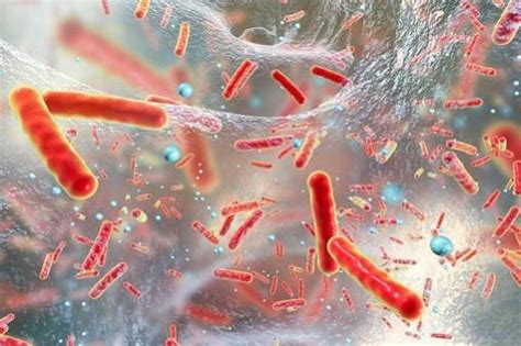 AI helps identify new antibiotic that can kill one of three top ...